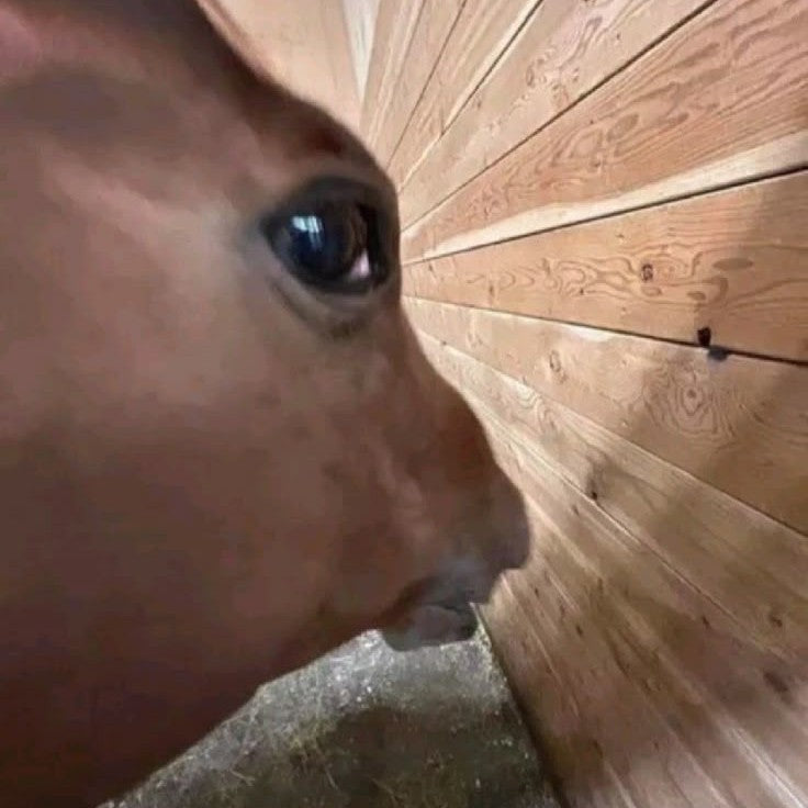 Upload a face